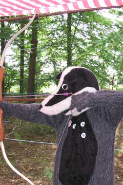 The Kent Wildlife Trust's badger 'has a go' with Crown Archers at Detling.
